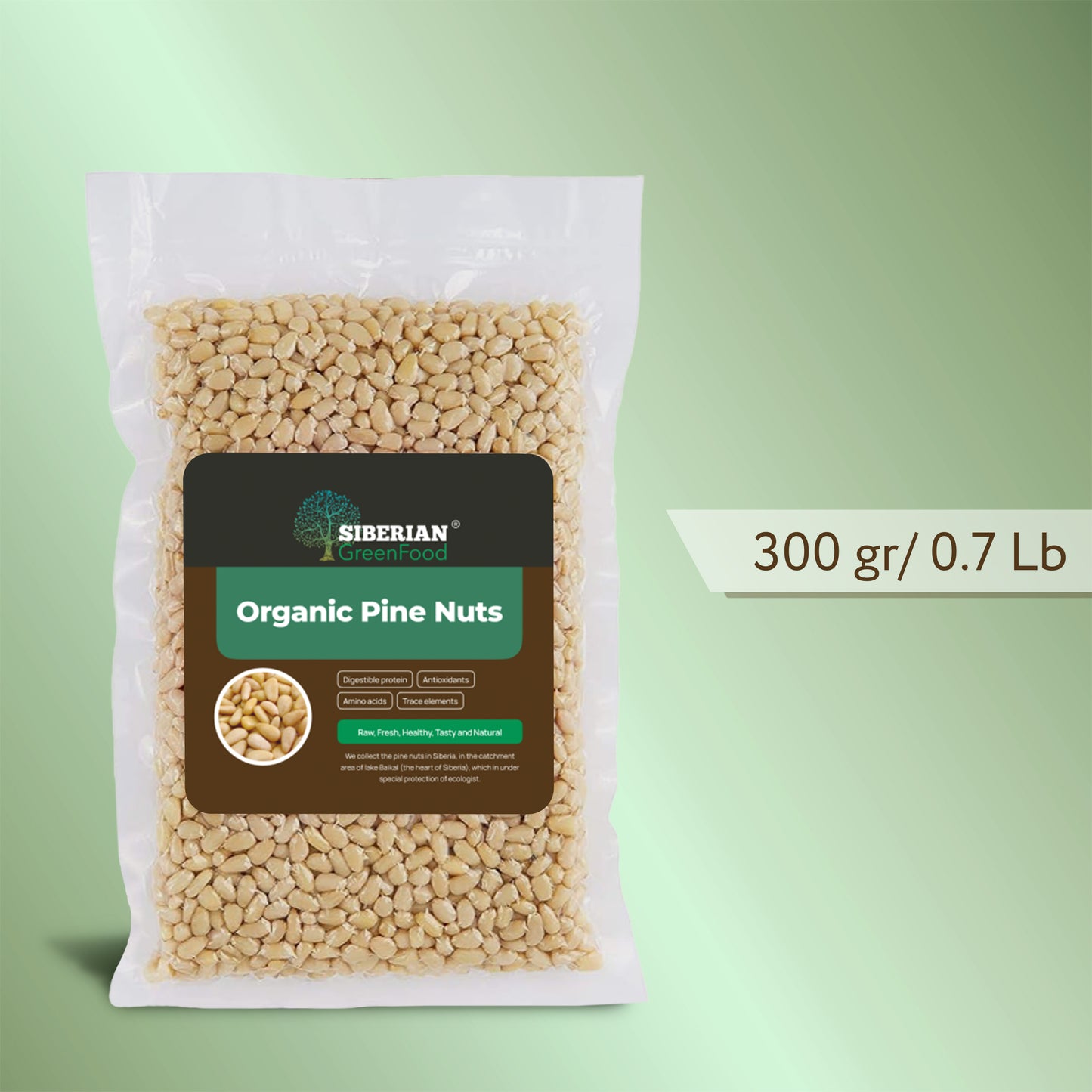 Pine Nuts, Wildly Sourced, 10.5 oz. / 300 gr. vacuum bag