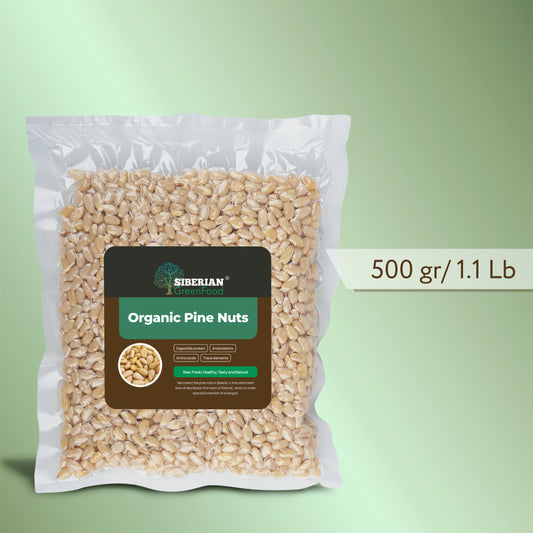 Pine Nuts, Wildly Sourced, 17.6 oz. / 500 gr vacuum bag