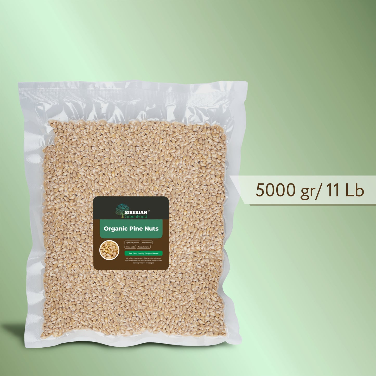 Pine Nuts, Wildly Sourced, 176.4 oz. / 5000 gr vacuum bag