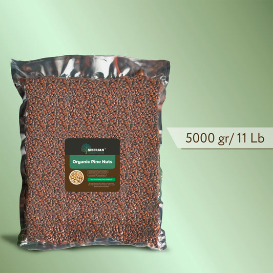 Unshelled Pine Nuts, Wildly Sourced, 176.4 oz. / 5000 gr vacuum bag